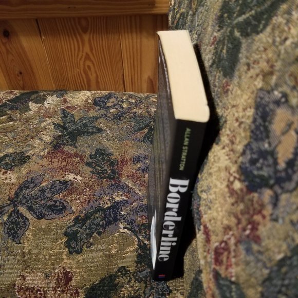 YA novel, Borderline by Allan Stratton, adventure, mystery, Harper Trophy - Picture 3 of 3